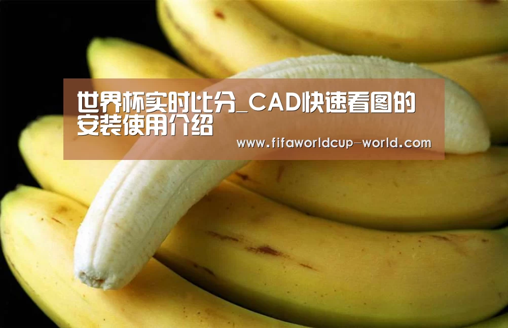 世界杯实时比分_CAD快速看图的安装使用介绍(图4) 世界杯娱乐中心