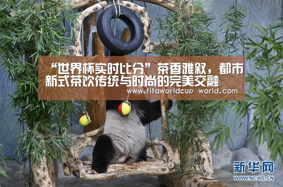 世界杯实时比分