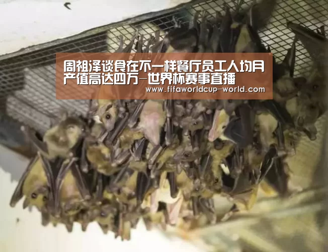 周祖泽谈食在不一样餐厅员工人均月产值高达四万-世界杯赛事直播(图2) 世界杯直播